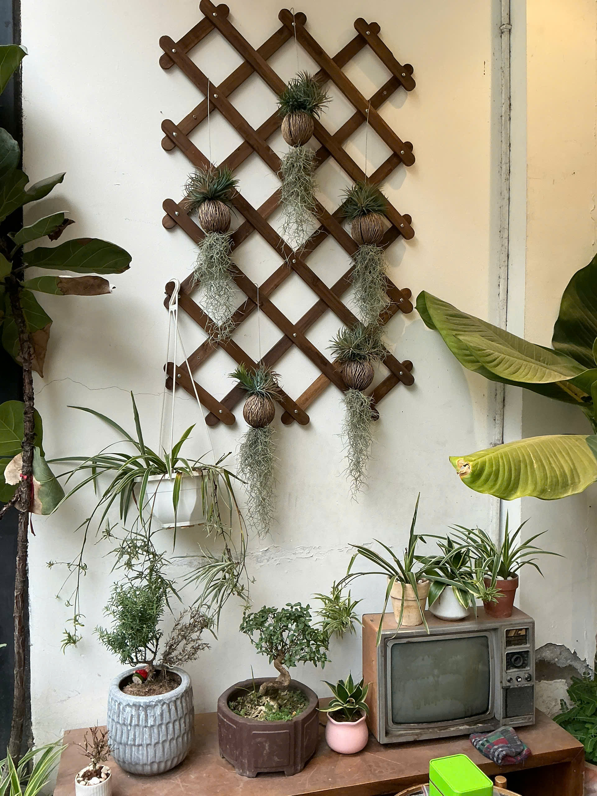 z7413072268821_f9b6dfd15097e1c7051910665b244f88