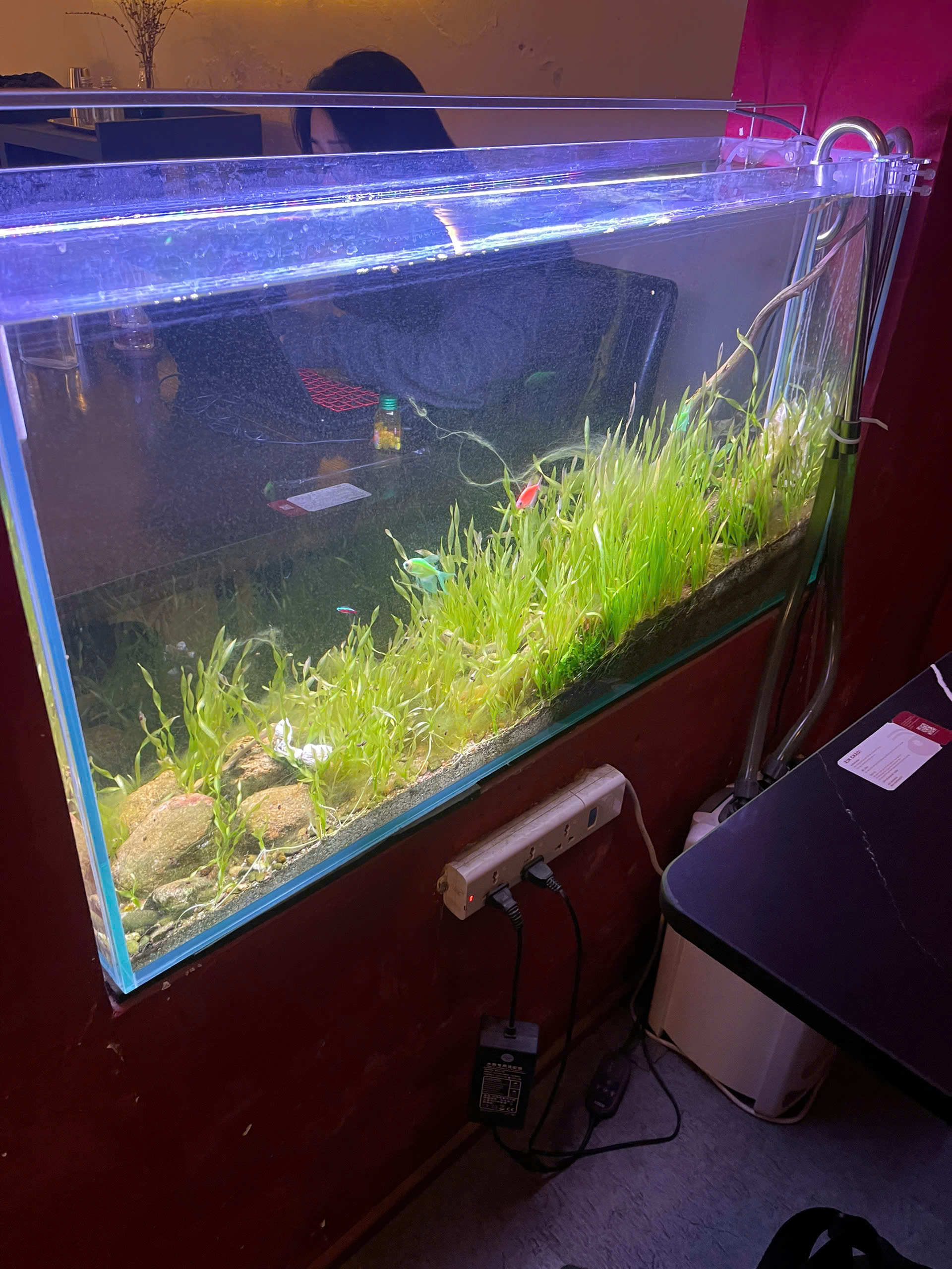 z7432403783001_0dff8b24ac2089f952c6a678a5c3fe89