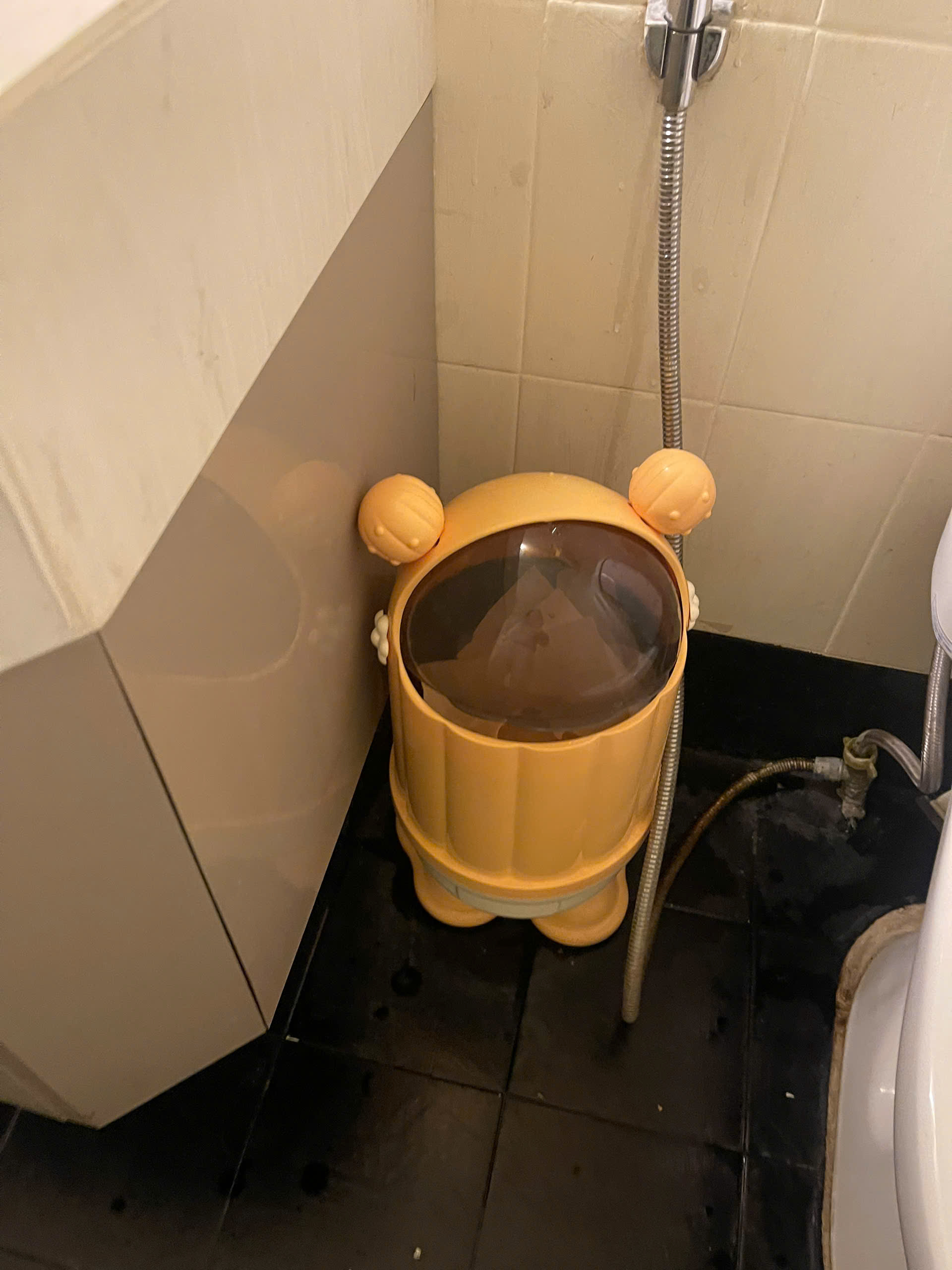 z7432403701508_52fe91962161391c8cc7e90c6ac592f0