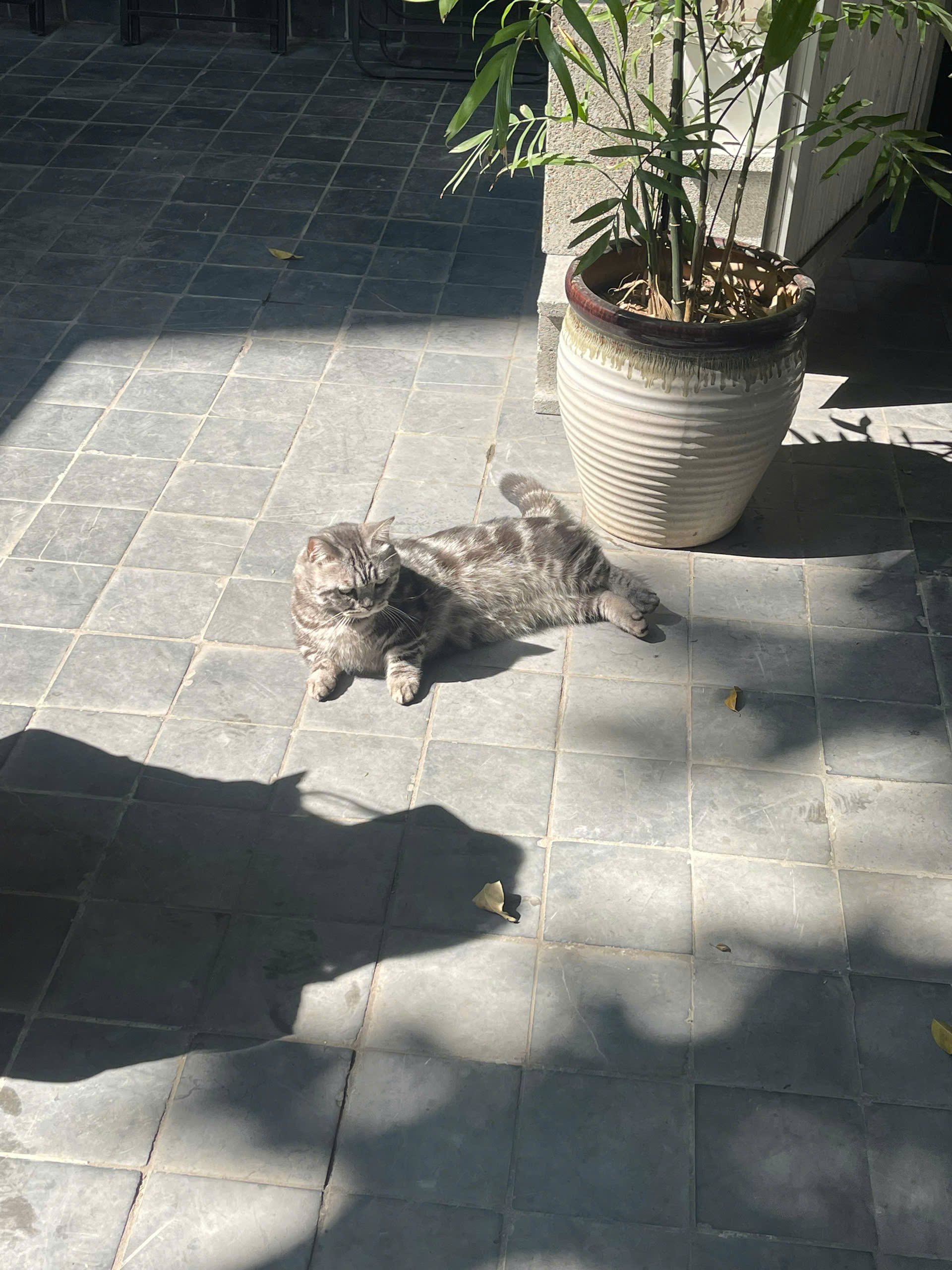 z7432403514130_479cbefcbac8fac0bb564554bd754e1f