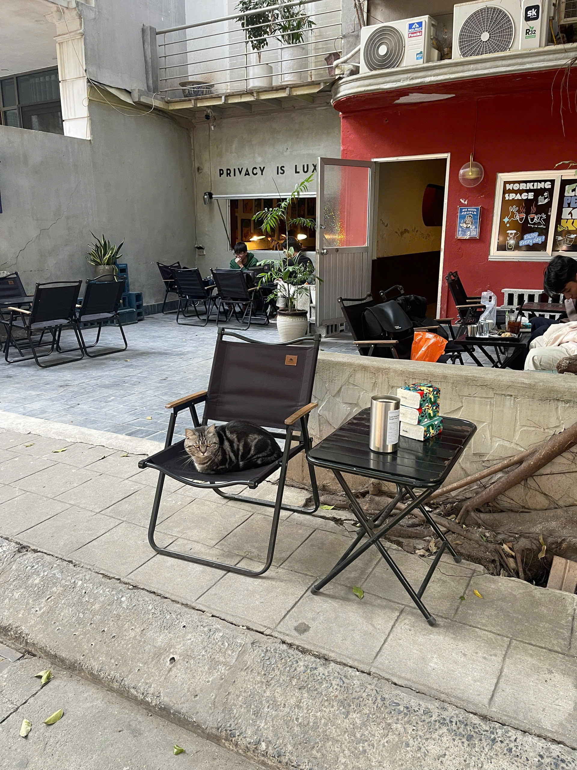 z7432403846168_4aa3196174bc5cce27b275c481d6a281