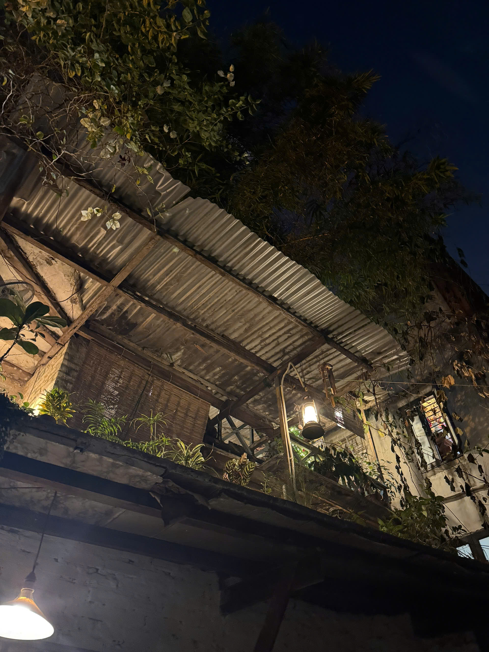 z7446785896065_d61aa99d79bfa18424b9dd1ca88b018f