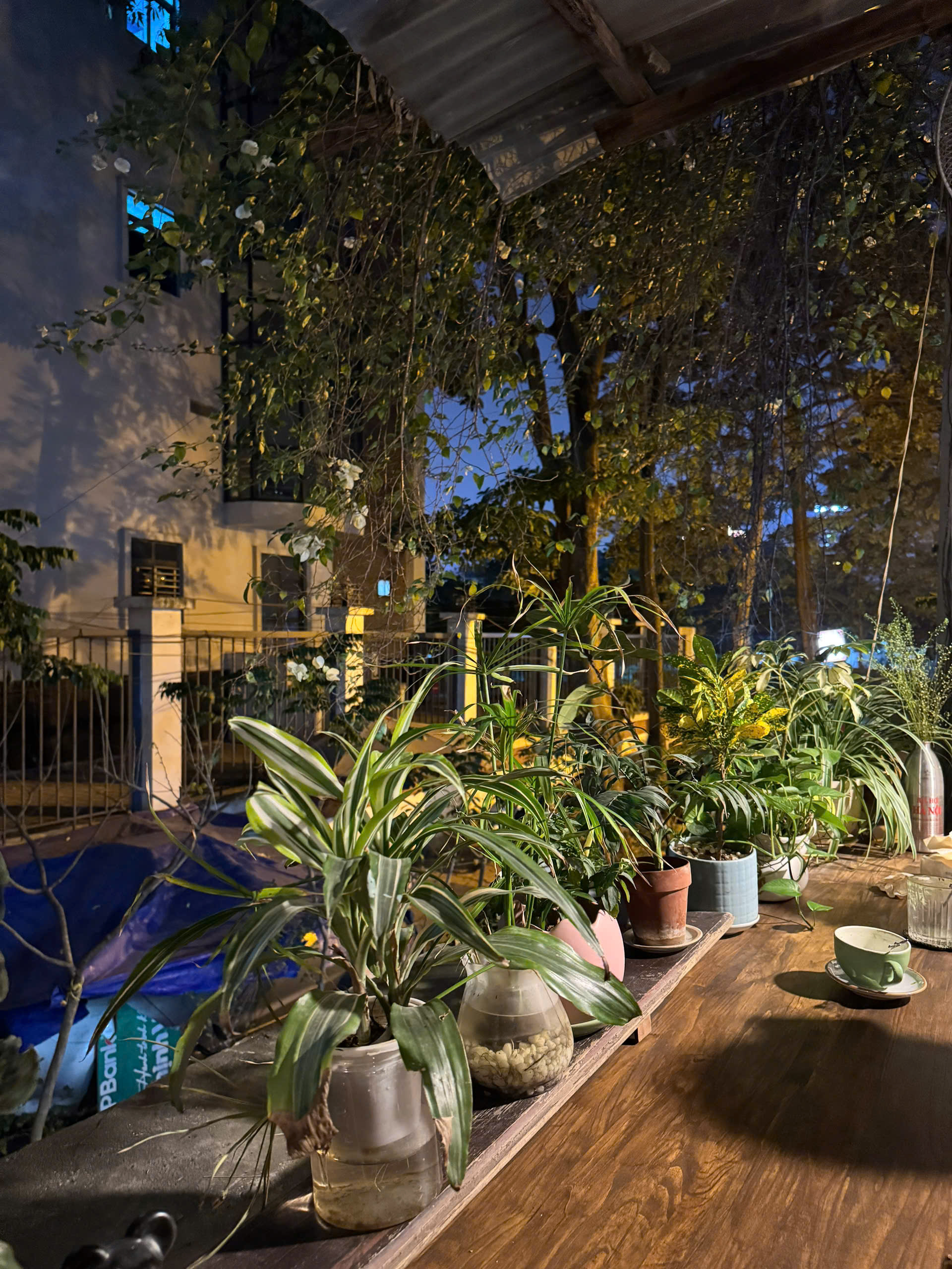 z7446786597846_ae10e66073b24bd46d7bd79eafa39ed0