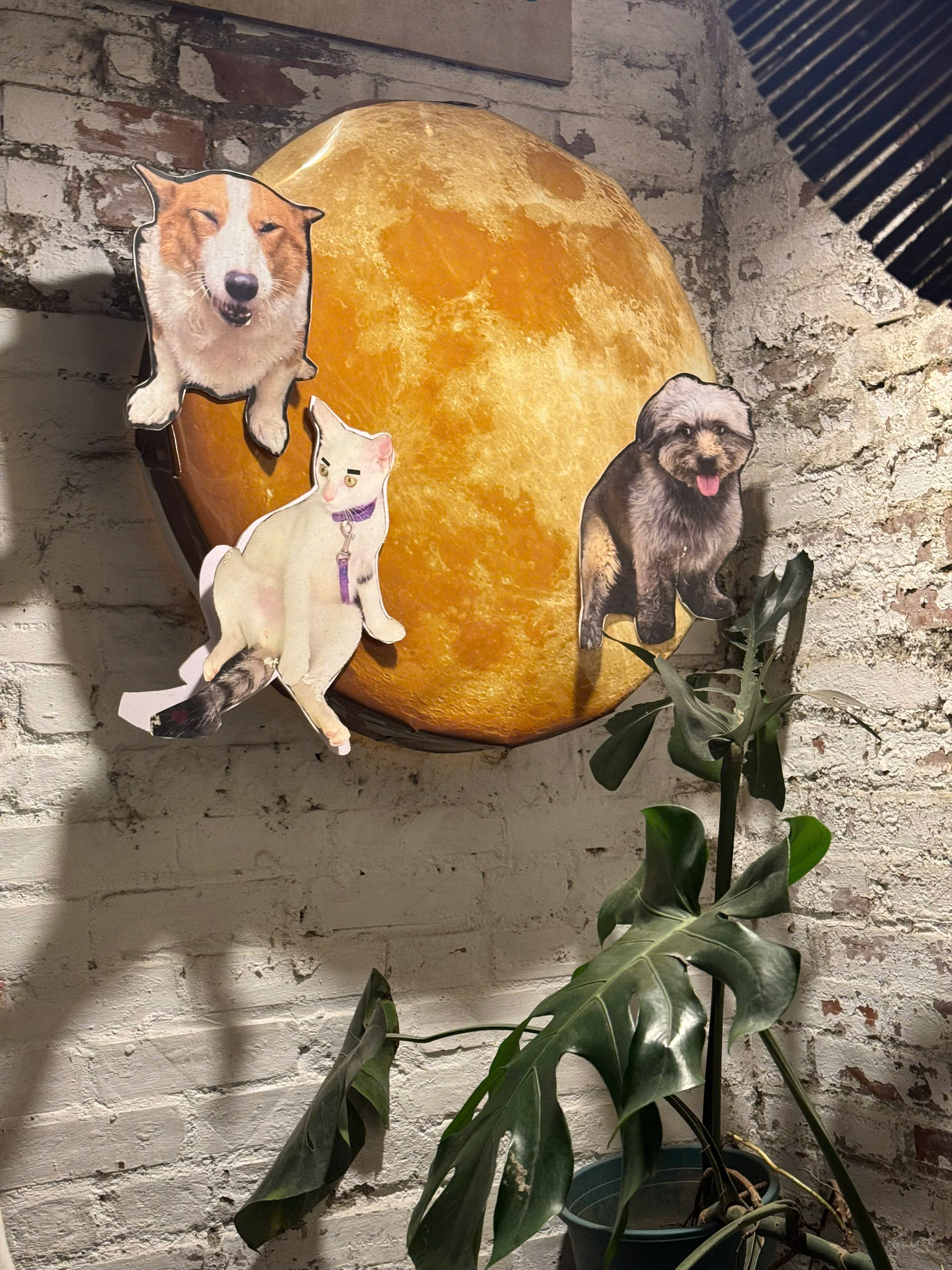 z7446786486889_46462e06a68d856b6f56ae0b14e66861