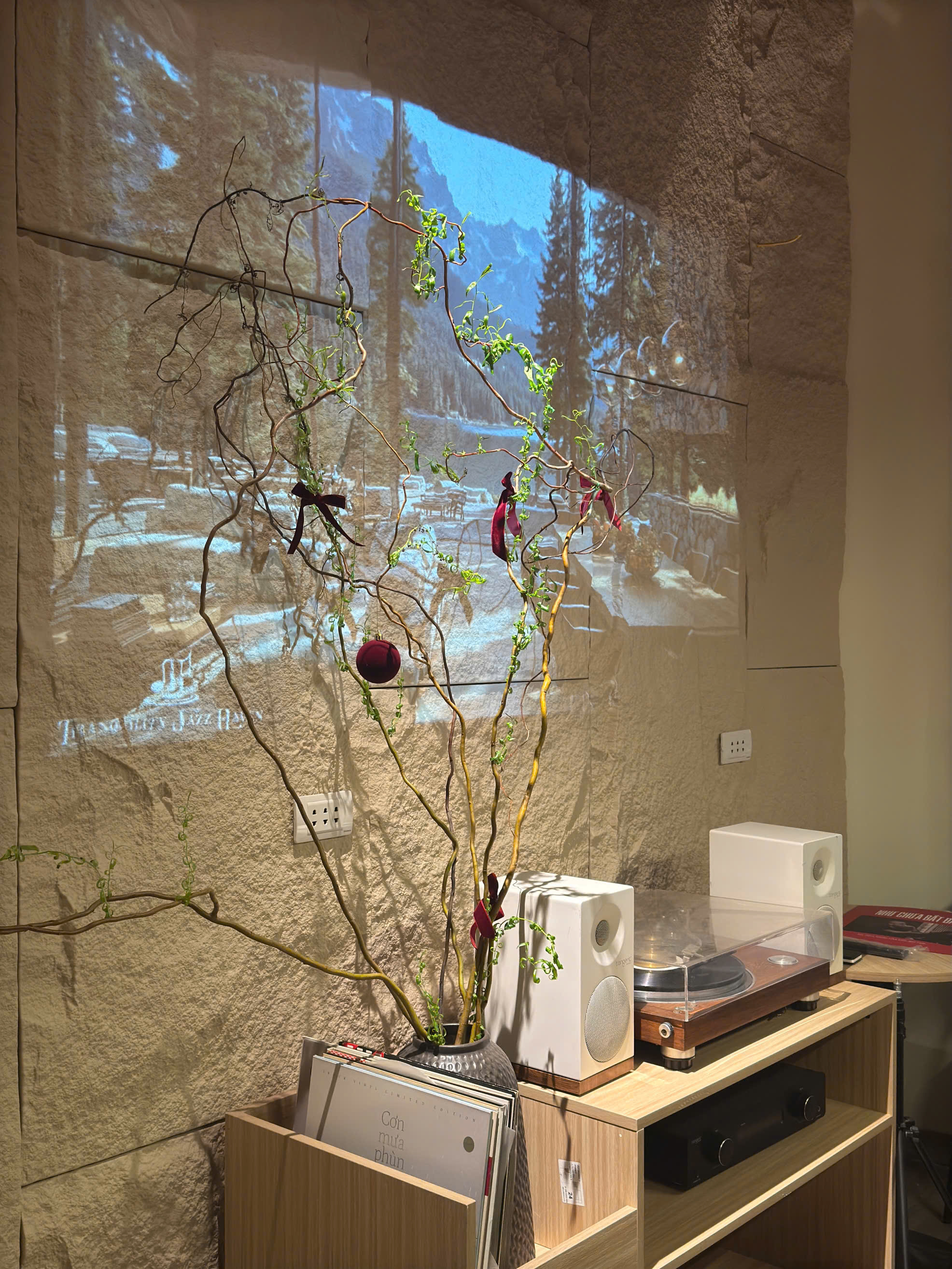 z7480552989883_e249a86bbe81e8a2b69aa041eb55f022