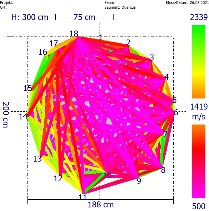 Schalltomographie - Bild 2
