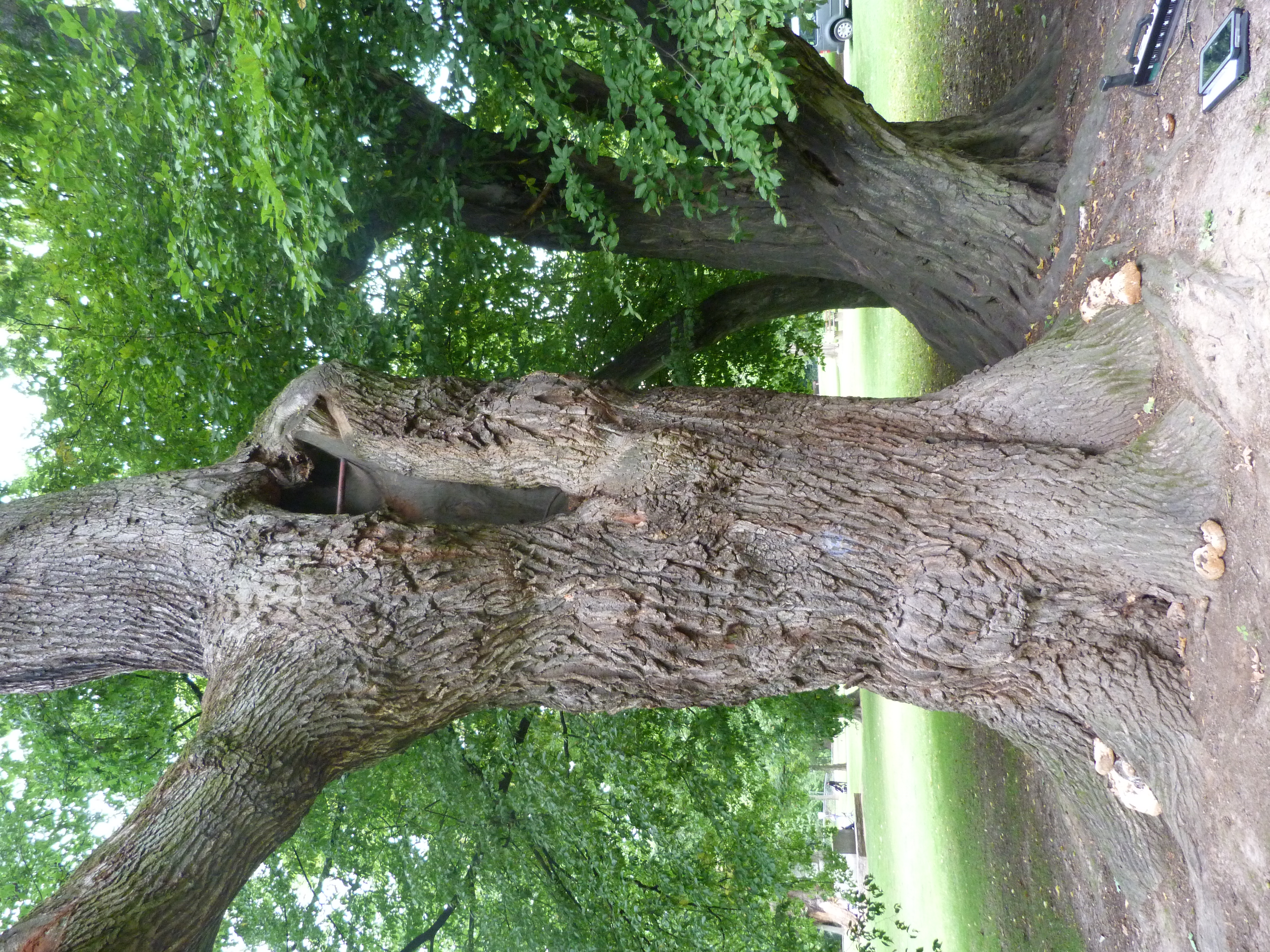 Schalltomographie - Bild 6