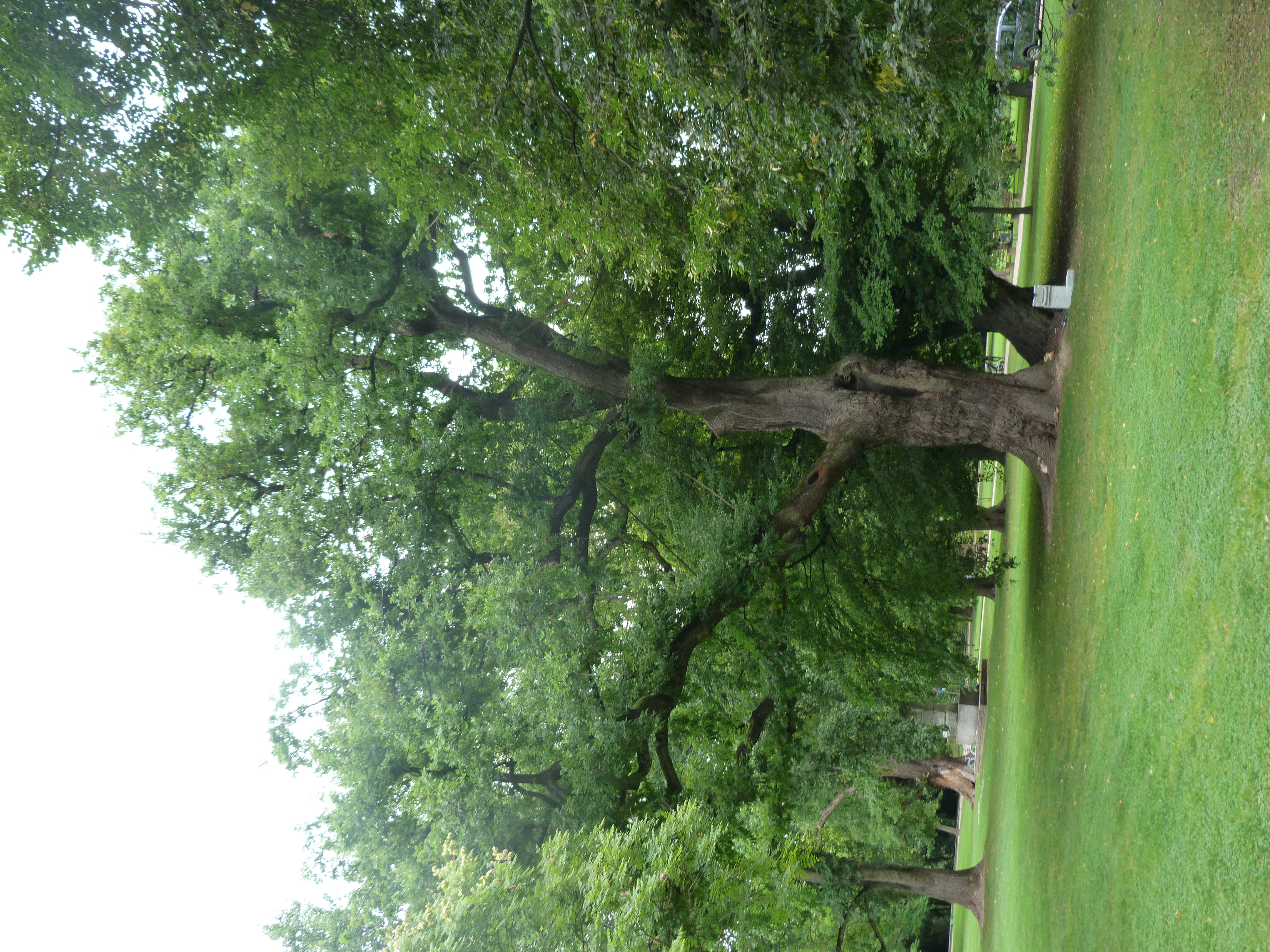 Schalltomographie - Bild 4