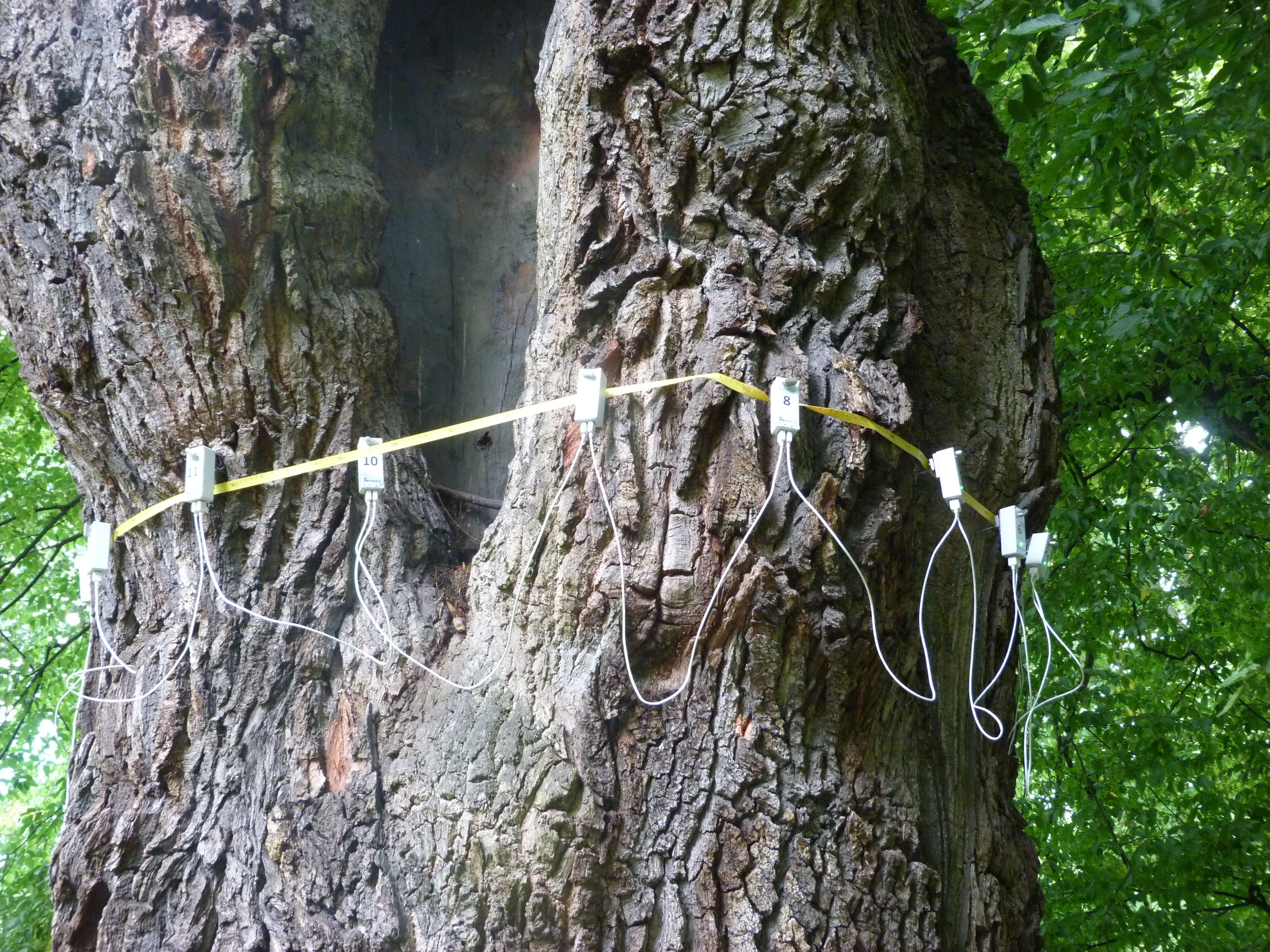 Schalltomographie - Bild 5