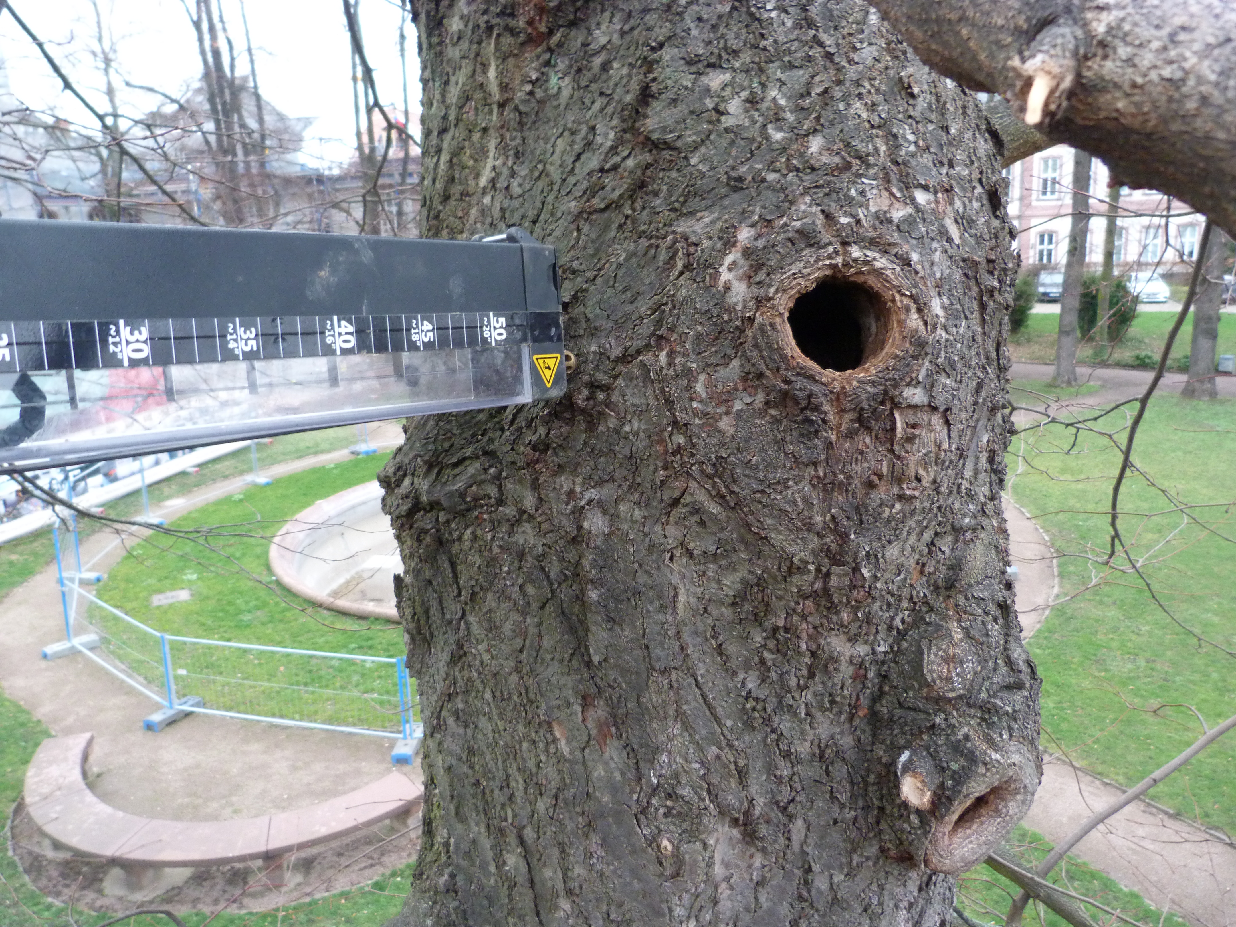 Bohrwiderstandsmessung - Bild 2