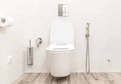 Toilet Repairs and Installs 