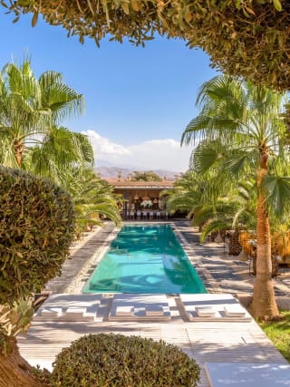 Palm-lined pool at a luxury retreat