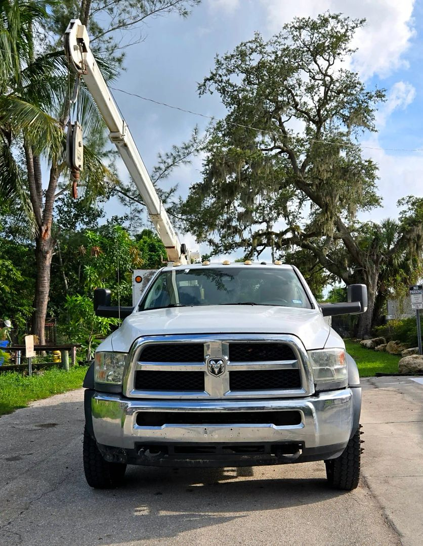 2017 Dodge Ram 5500 HD Service & Utility Trucks - Image 2