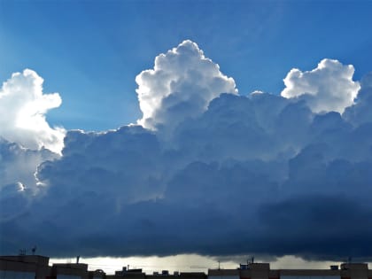 На выходные в Великом Новгороде прогнозируют жаркую погоду