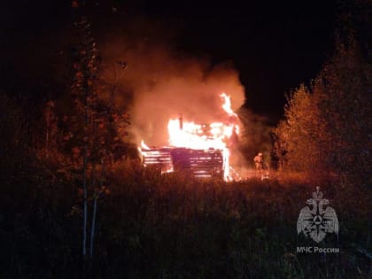 На пожаре в Окуловском районе пострадал один человек