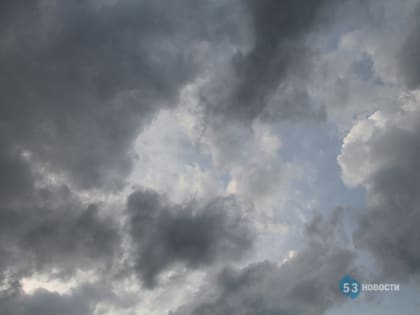 В Новгородскую область вновь придут ливни, грозы и сильный ветер