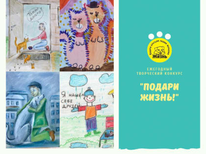 В Великом Новгороде сегодня наградят победителей конкурса «Подари жизнь!»