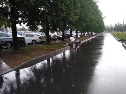 В ближайшие дни в Новгородской области будет дождливо