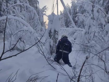 В МЧС сообщили о полном восстановлении энергоснабжения в Новгородской области