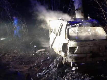 В Любытинском районе в ДТП погибли три человека