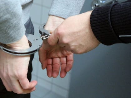 Боровичане помогли полицейским задержать автомобильного вора