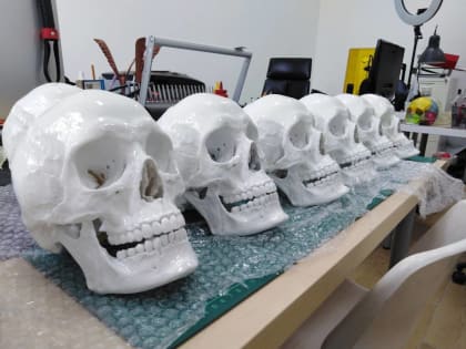Новгородская компания освоила выпуск максимально точных 3D-моделей костей человеческого скелета