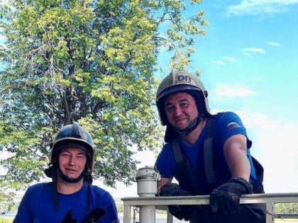 В МЧС рассказали подробности спасения вороны Машки в Великом Новгороде