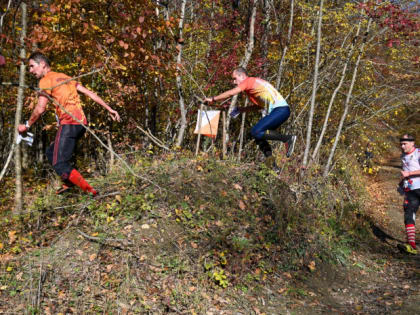 Новгородские ориентировщики завоевали 11 наград на чемпионате России