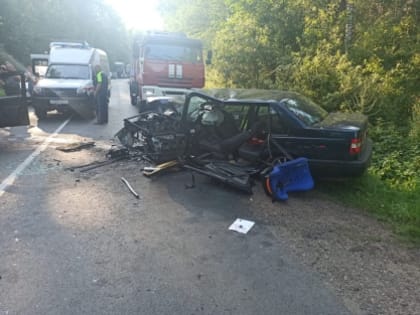 По факту смертельного дтп возбуждено уголовное дело