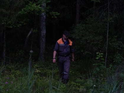 Памятка  отправляющимся  в лес