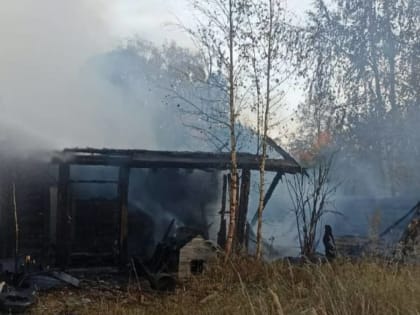 На Весенней улице в Окуловке сгорел дачный дом