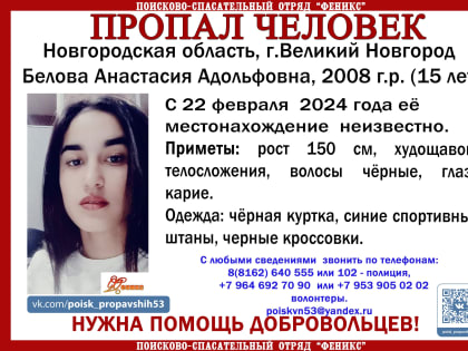 В Великом Новгороде уже больше недели идут поиски 15-летней девочки