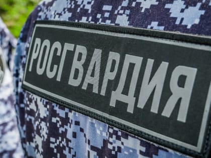 За неделю новгородские росгвардейцы 280 раз откликнулись на тревожный сигнал