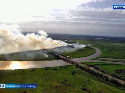 Недалеко от Великого Новгорода на заливных лугах вдоль реки Малый Волховец произошёл крупный травяной пожар