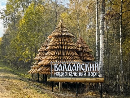 Новые инициативы по улучшению качества жизни в городе