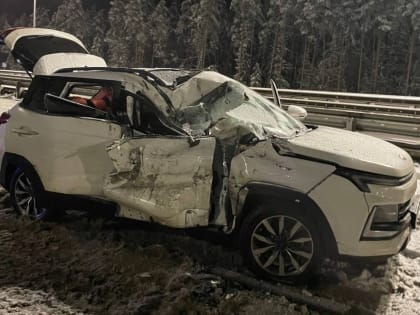 В Новгородском районе на М-11 водитель нового «Москвича» въехал в грузовик