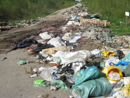 В конце сезона отпусков Россельхознадзор обнаружил пять свалок в Новгородской области