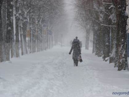 Вчера энергетики восстановили 123 км ЛЭП в Новгородской области
