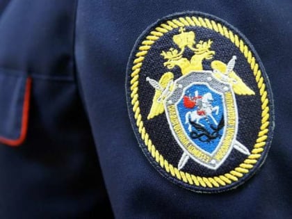 Андрей Никитин поздравил сотрудников Следственного комитета с профессиональным праздником