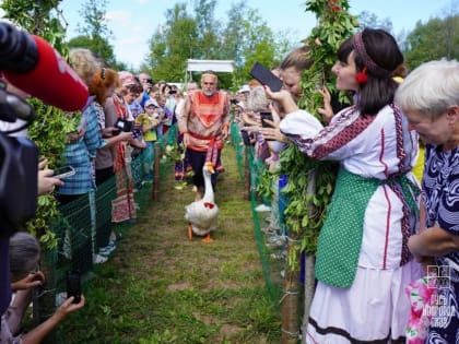 В посёлке Волот вновь пройдут «Гусиные бега»