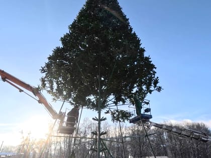 Главная городская ёлка прощается с новгородцами до следующей зимы