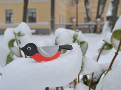 В новгородском Лектории пройдёт серия «Новогодних чудодейств Деда Трескуна»