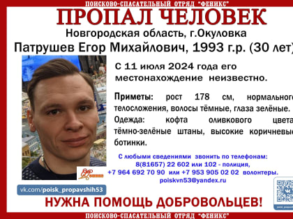 В Окуловке уже почти неделю идут поиски 30-летнего мужчины