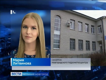 О погоде на ближайшую неделю рассказали новгородские синоптики