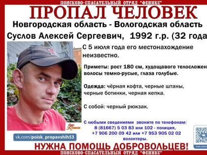 Жителей Новгородской области просят помочь в поисках 32-летнего мужчины