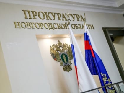 Жительницу Новгородского района проверят на жестокое обращение с животными