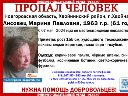 В Хвойнинском округе идут поиски 61-летней женщины