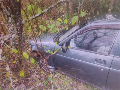 Женщина-водитель пострадала в ДТП в Любытинском районе