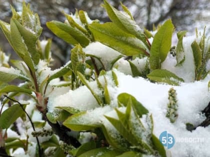 Евгений Тишковец рассказал, какая погода ждёт новгородцев и когда придёт весна