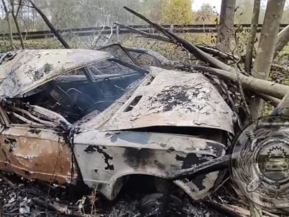В Батецком районе в сгоревшем автомобиле погиб водитель